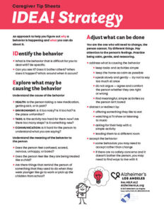 Caregiver Tip Sheet: IDEA! Strategy